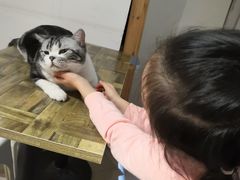-小时光咖啡馆(开森度假森林店)