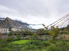 -佛掌沙丘