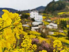 -石潭村
