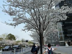 -新天地活力PARK