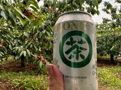 -北京凤凰岭