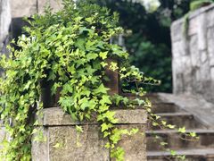 -自在弥林花园餐厅(云栖店)