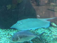 -鸿通城购物中心