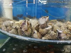 -叶存利海鲜大馅饺子(东戴河止锚湾店)