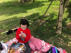 -枫香湖儿童公园