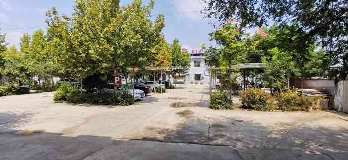 聚贤庄-九品十三花-"周末去大荔县逛,团队里有人推荐的这家饭店.