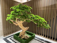 -青水瓦台汤泉(未央店)