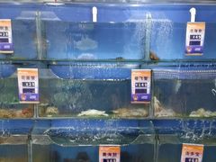 -小船渔村•大连菜•大连焖鱼(明泽街店)