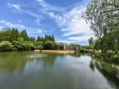 -上海滨江森林公园