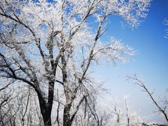 -中旅松花湖滑雪场