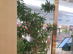 -吴家·非遗淮扬小馆(镇江万达广场店)