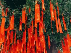 -满圆薄春饼(新世纪店)