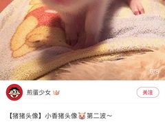 -CoCo都可(健翔桥店)