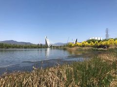 -永定河休闲森林公园