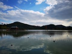 -顺峰山公园