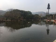-白马涧龙池景区