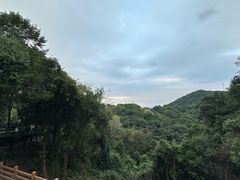 -广州市帽峰山景区