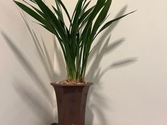 -皇城老妈·大连海鲜火锅(港湾店)
