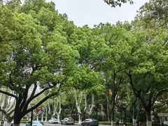-浙江大学(玉泉校区)
