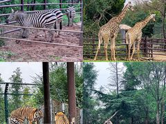 -济南野生动物世界