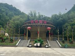 -栾川竹海野生动物园