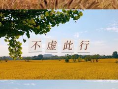 -良渚古城遗址公园