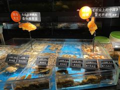 -徐记海鲜(南油永新汇店)