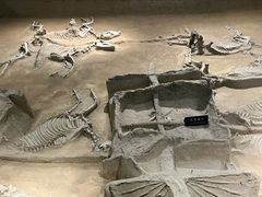 -洛阳周王城天子驾六博物馆