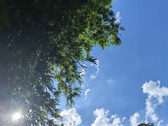 -广州市白云山风景名胜区