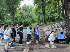 -阳台山自然风景区