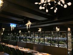 -Oasis Bar & Grill