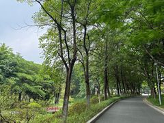 -东莞植物园