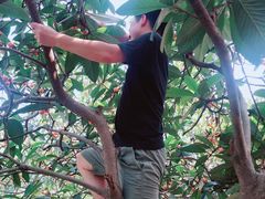 -塘栖枇杷特色园区