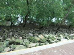 -宝安西湾红树林湿地公园