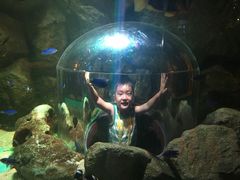 -暹罗海洋世界