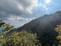 -天目山大树王景区