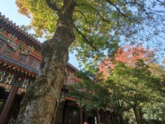 -灵谷景区