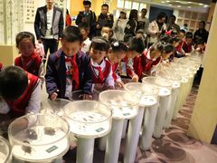 -陕西自然博物馆