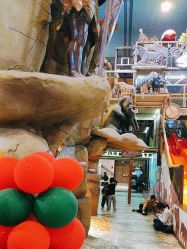 -卡通尼·Safari非洲探索乐园·生日会(金桥国际商业广场店)