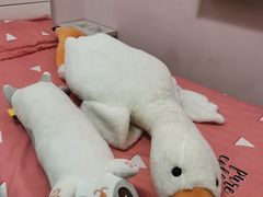 -百谜机械解谜工场