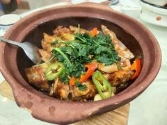 -津津菜馆(绝没分店)