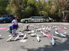 -燕塞湖鸟语林景区