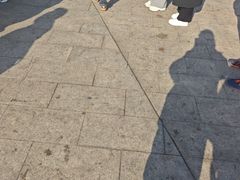 -闽江夜游台江旅游码头