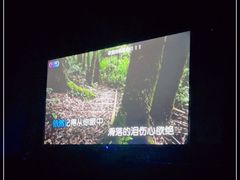 -黑桃K生日订制KTV