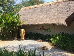 -大象粑粑造纸公园