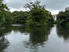 -济州森林小火车生态公园