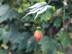 -南通洲际绿博园