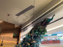 -雀蓝川菜(滨湖万象汇店)