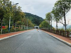 -羚羊峡古栈道森林公园