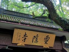 -灵隐飞来峰景区